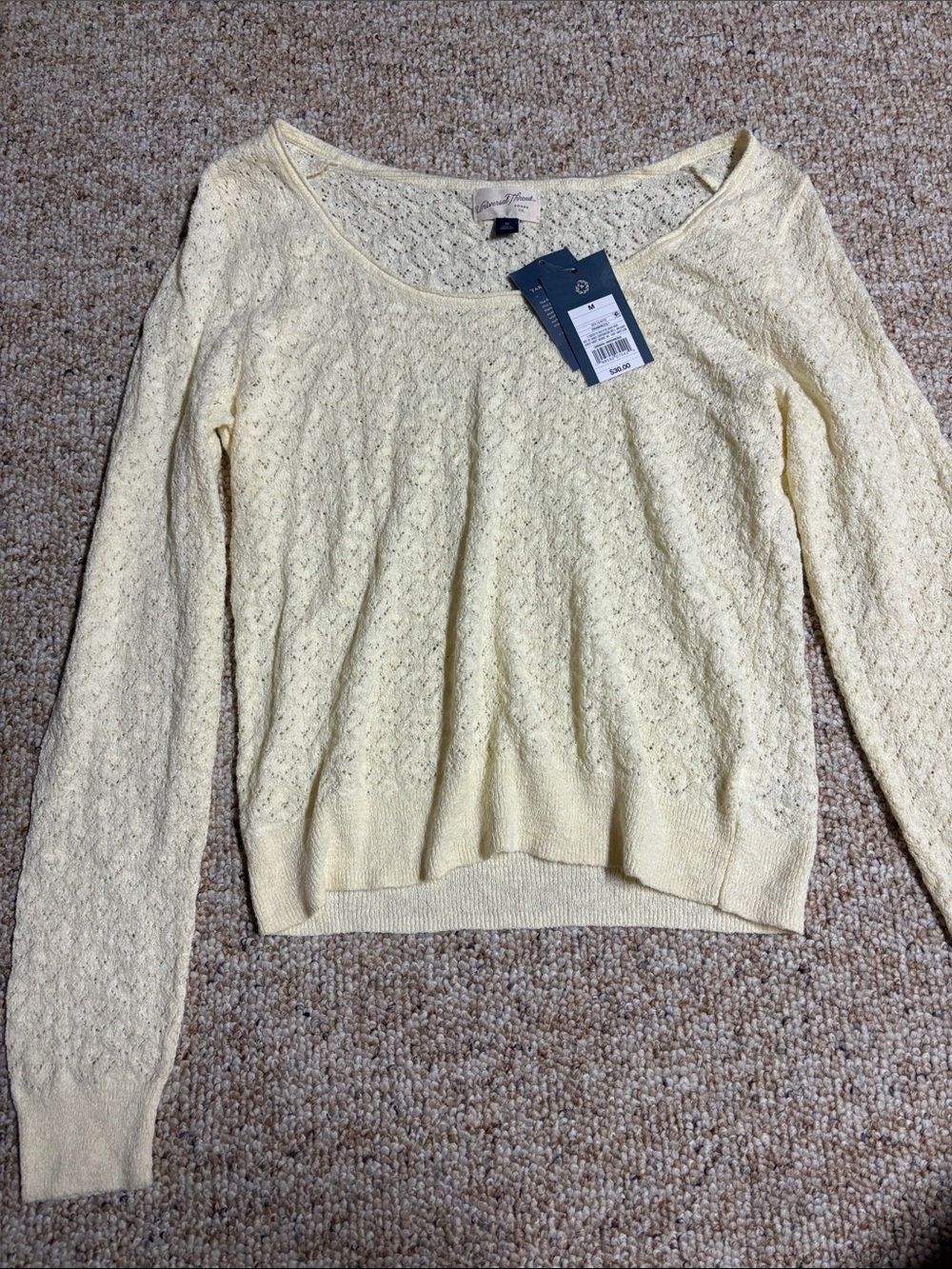 Universal Thread Cream-colored Lace-Texture Scoopneck Sweater